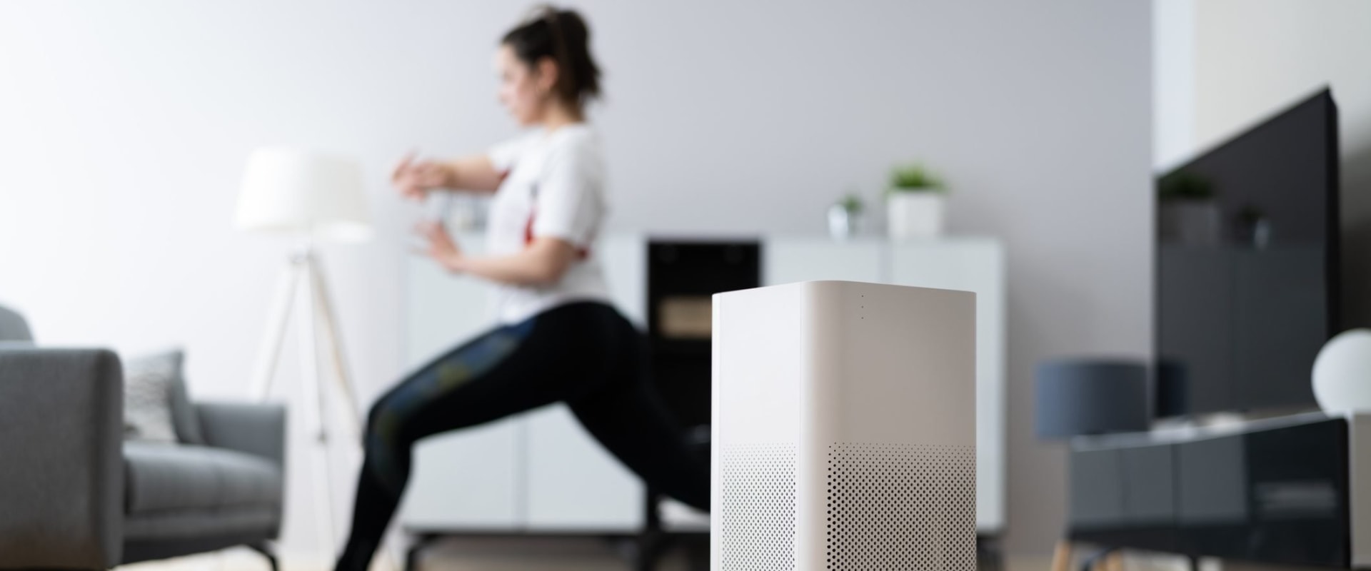 Professional AC Ionizer Air Purifier Installation Service