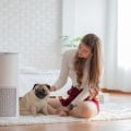 What is the Best Air Filter 20x25x4 for Your Home?
