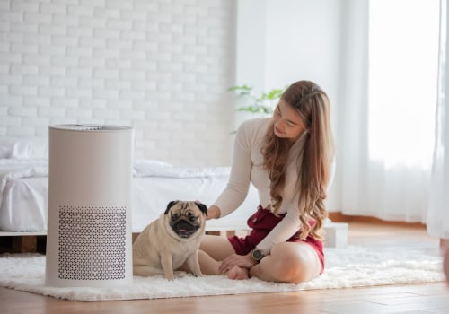 What is the Best Air Filter 20x25x4 for Your Home?